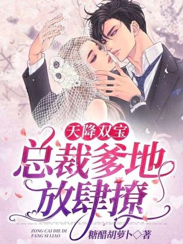 封总追妻火葬场